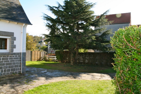 terrain
